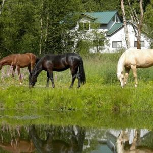 Meet your Posher, Cecily